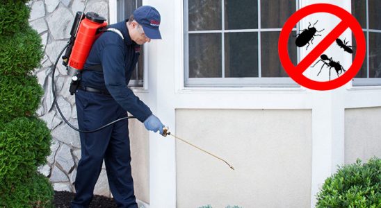 Serinhisar Böcek İlaçlama böcek ilaçlama ve haşere kontrolü — ilaclama-tr.com